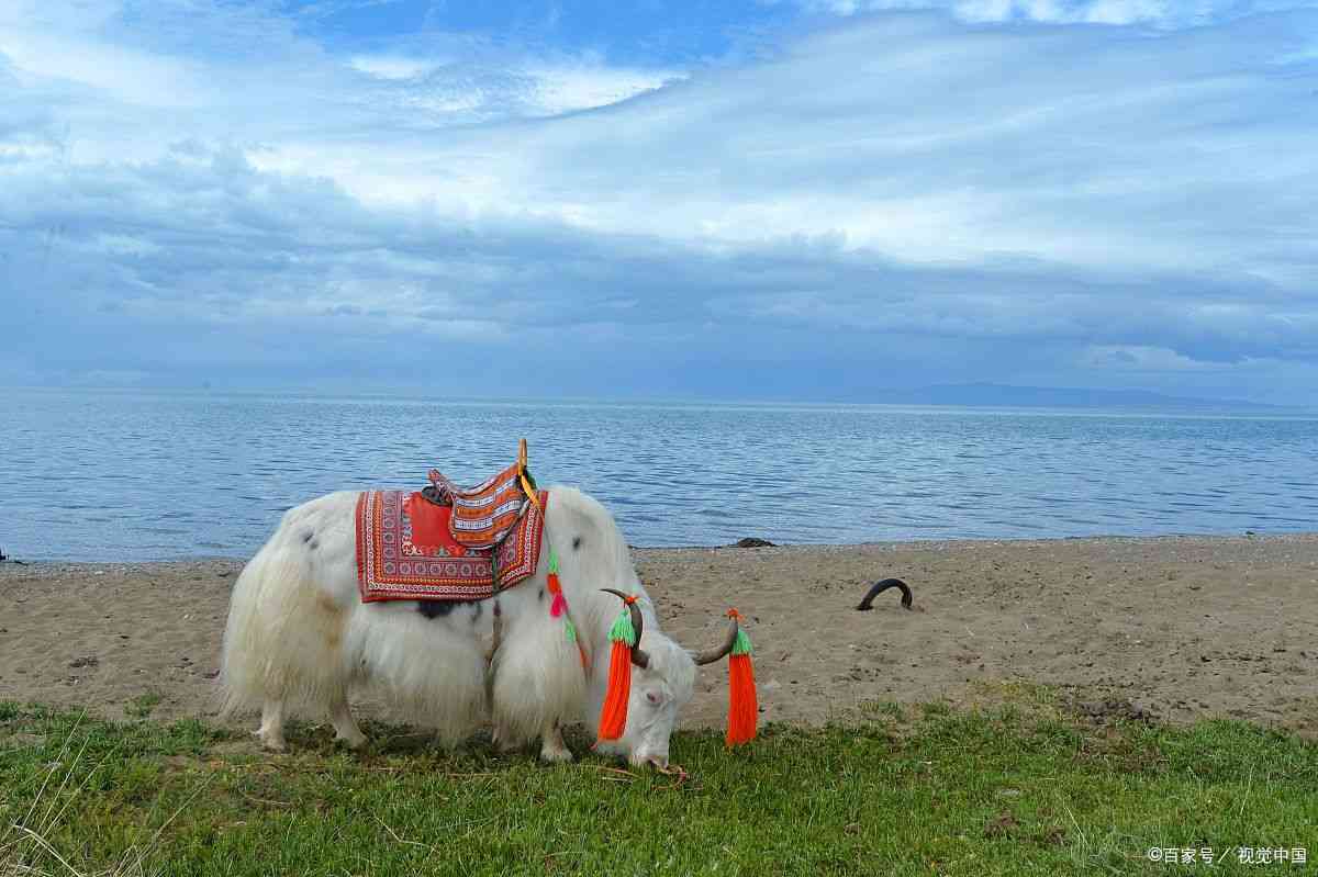 青海德令哈旅游攻略