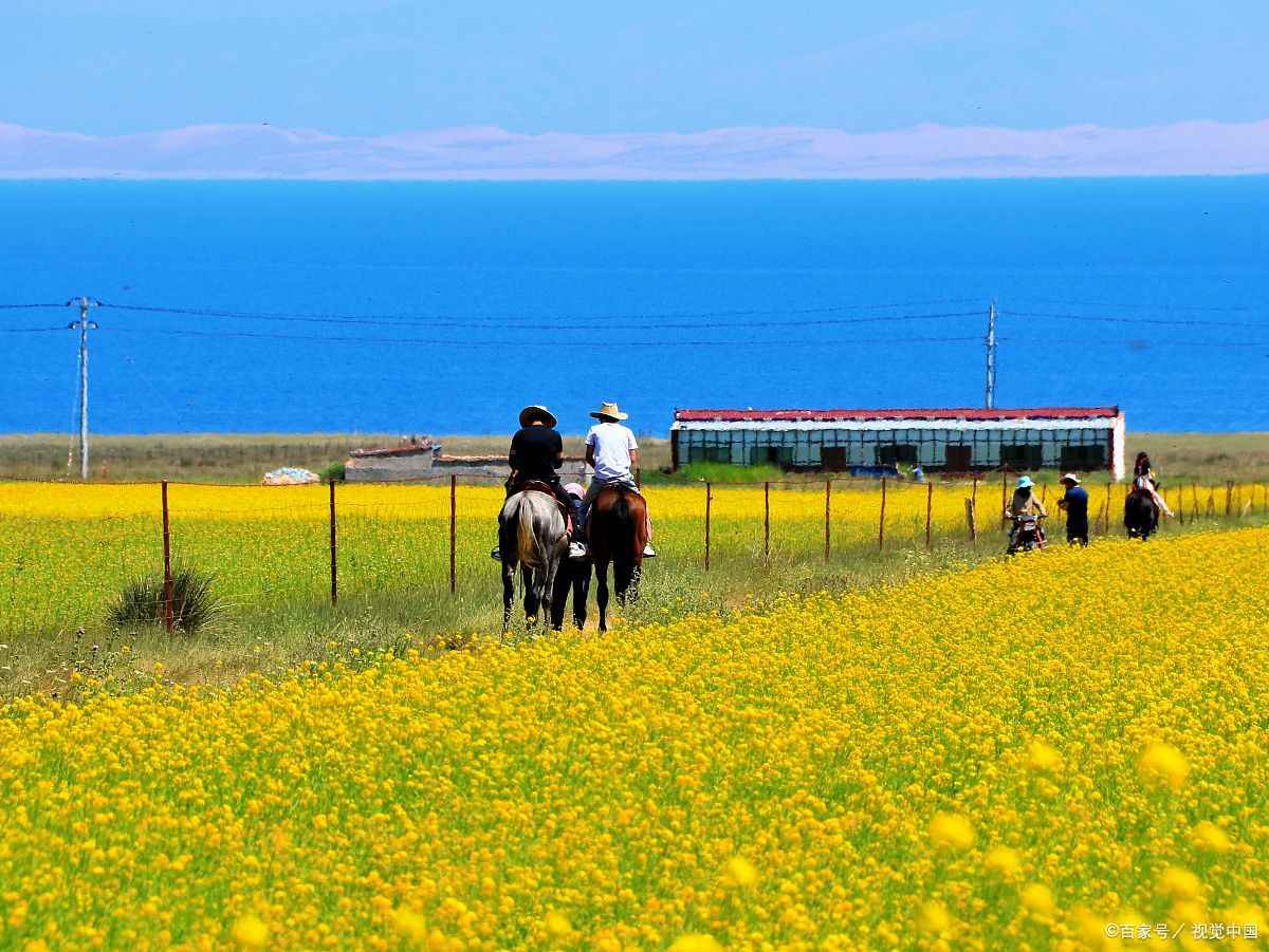 青海德令哈旅游攻略